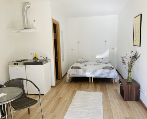 Endla Apartament