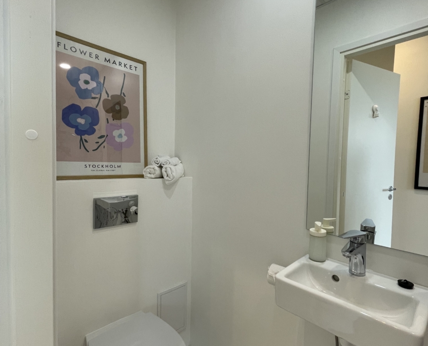 Endla hosteli valge maja apartement 2 voodiga tualett
